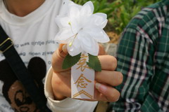 金沙(61665·JS认证)娱场城-Macau Store