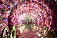 金沙(61665·JS认证)娱场城-Macau Store