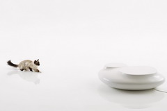 金沙(61665·JS认证)娱场城-Macau Store