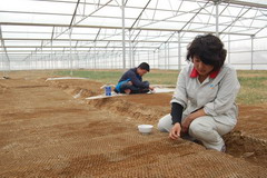 金沙(61665·JS认证)娱场城-Macau Store