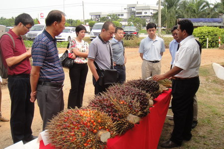 金沙(61665·JS认证)娱场城-Macau Store