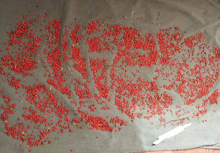 金沙(61665·JS认证)娱场城-Macau Store