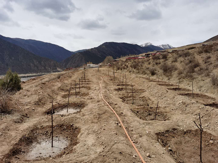 金沙(61665·JS认证)娱场城-Macau Store